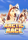 Arctic Race_image_Greentube