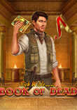 Book of Dead_image_Play'n Go