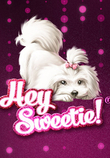 Hey Sweetie_image_Gaming1