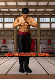 Red Dragon Wild_image_iSoftBet