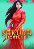 Sakura Fortune_image_Playtech