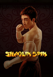 Shaolin Spin_image_iSoftBet