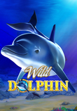 Wild Dolphin_image_Gameart