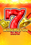 Wild Hot 40 Blow_image_Fazi