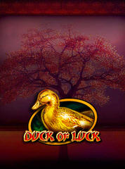 Duck of Luck_image_CT Interactive
