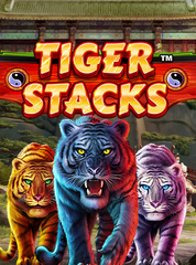 Tiger Stacks_image_Playtech