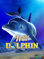Wild Dolphin_image_Gameart